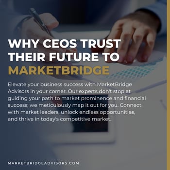 MarketBridge Advisors - CEO Trust